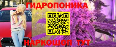 прущие крисы Пенза