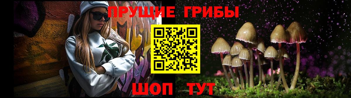Галлюциногенные грибы GOLDEN TEACHER  Вход с VPN  Южно-Сахалинск 